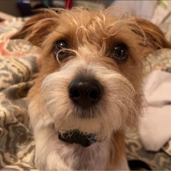 Meet your Posher, Shannon martin - Picture 1 of 1